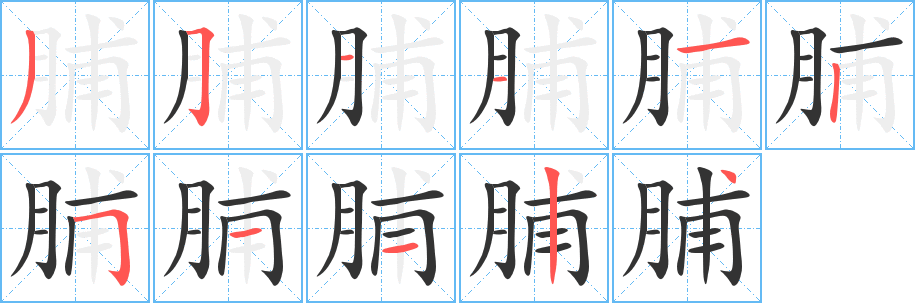 脯字的筆順分步演示