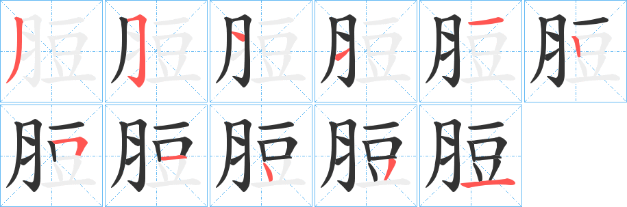 脰字的筆順分步演示