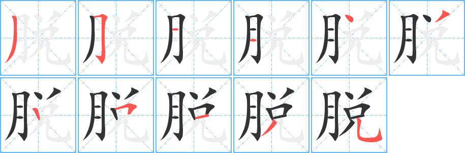 脫字的筆順分步演示