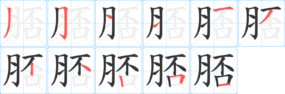 脴字的筆順分步演示