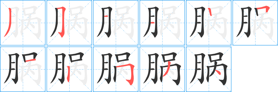 腡字的筆順分步演示