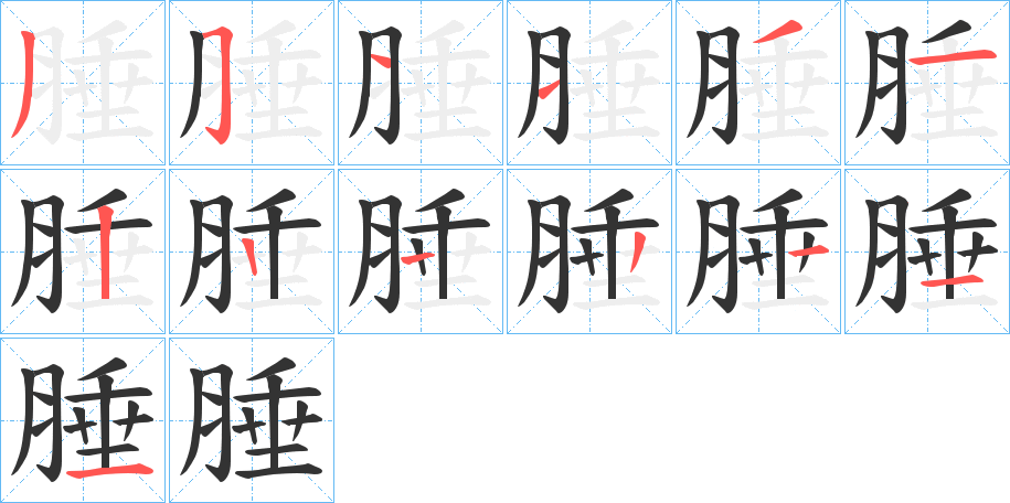 腄字的筆順分步演示