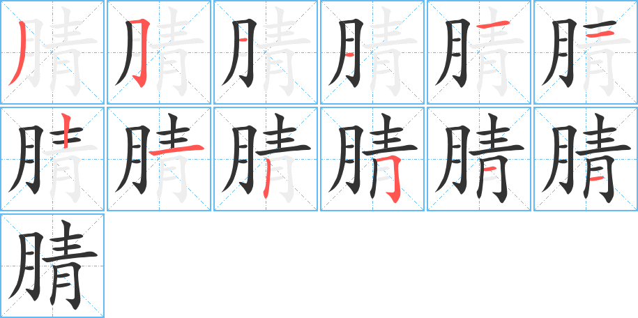 腈字的筆順分步演示