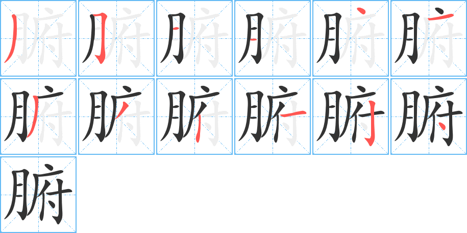 腑字的筆順分步演示