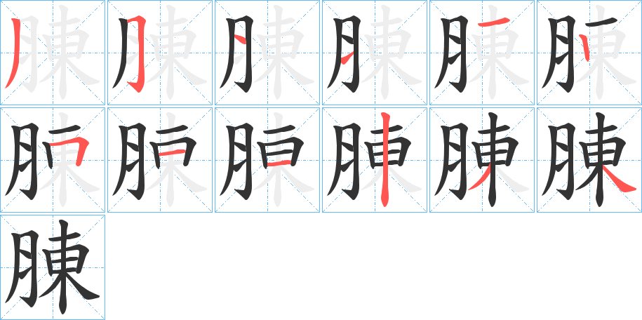 腖字的筆順分步演示