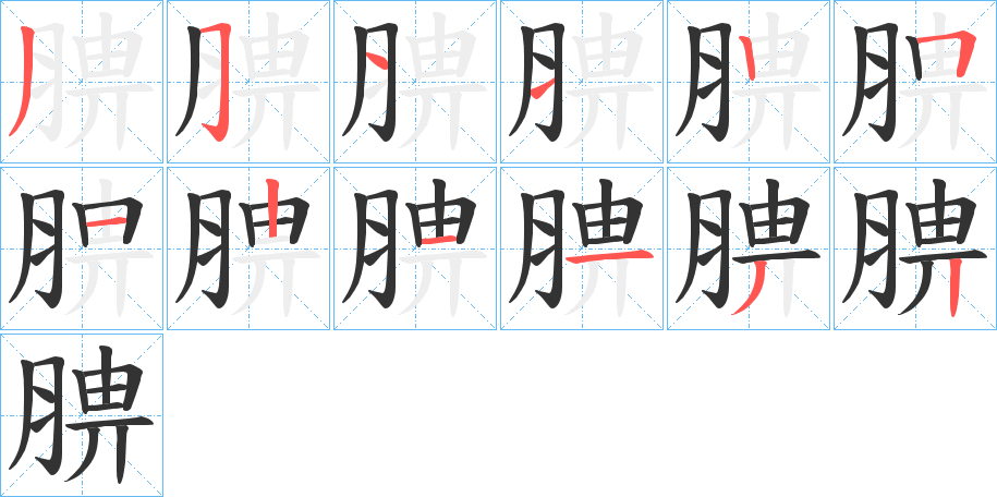 腗字的筆順分步演示