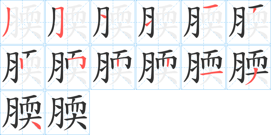 腝字的筆順分步演示