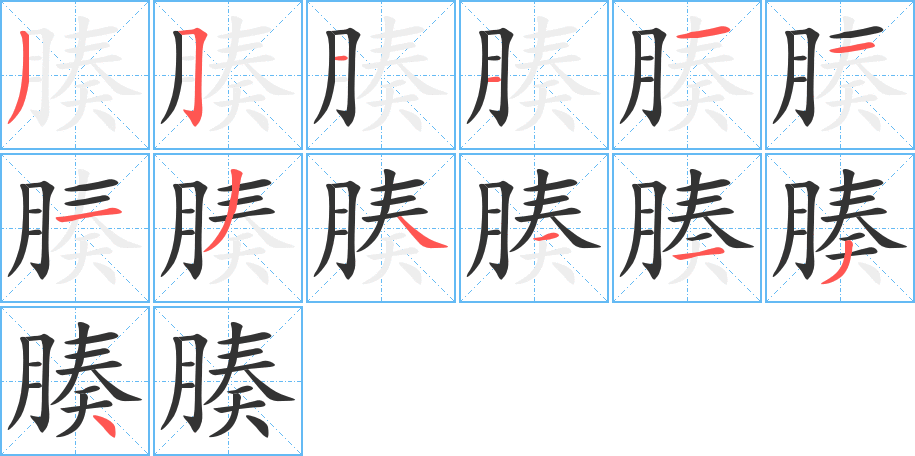 腠字的筆順分步演示