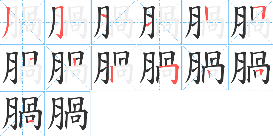 腡字的筆順分步演示