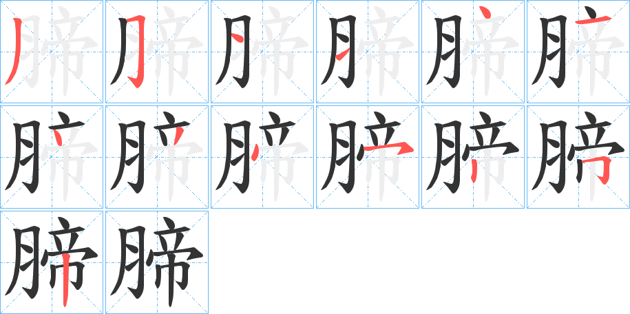 腣字的筆順分步演示