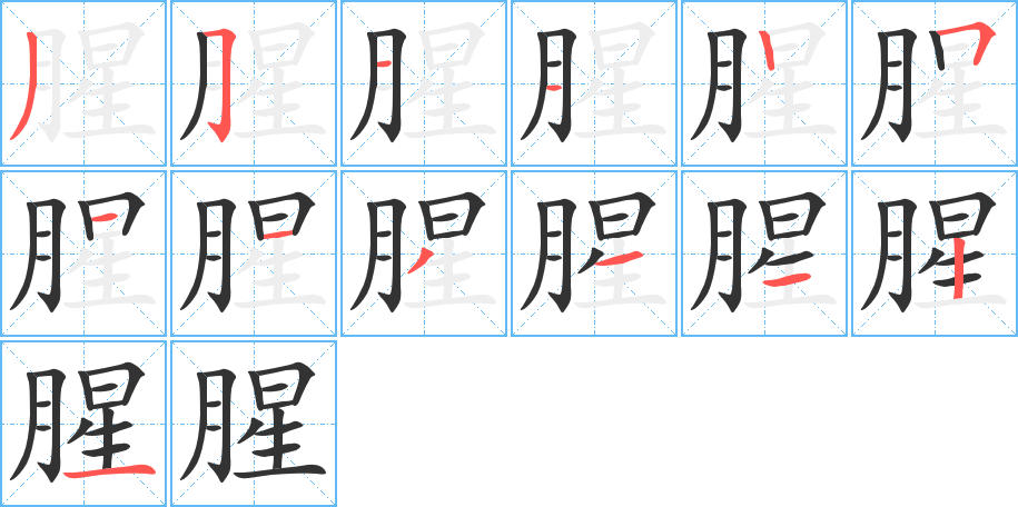 腥字的筆順分步演示