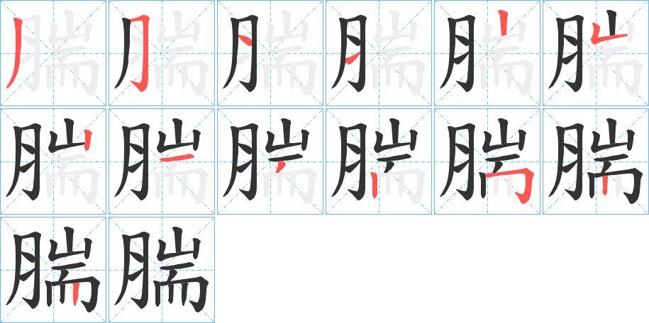 腨字的筆順分步演示