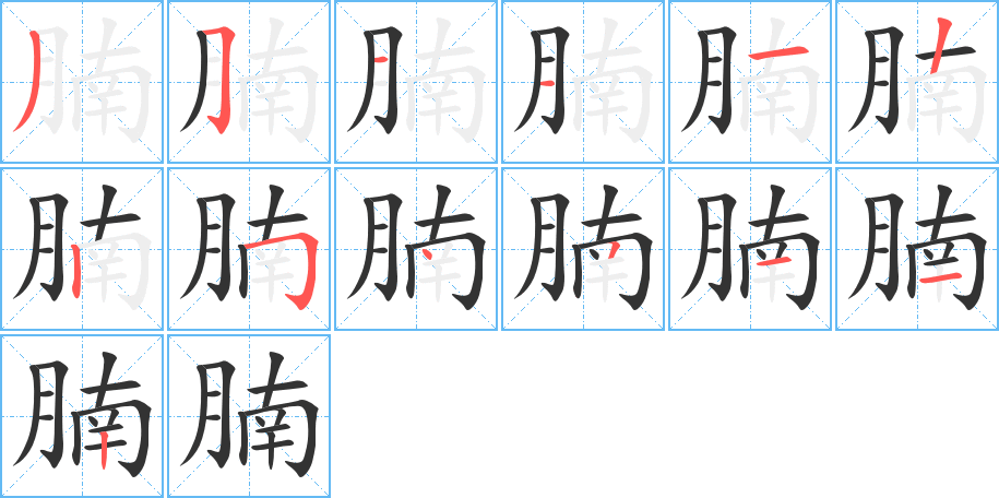 腩字的筆順分步演示