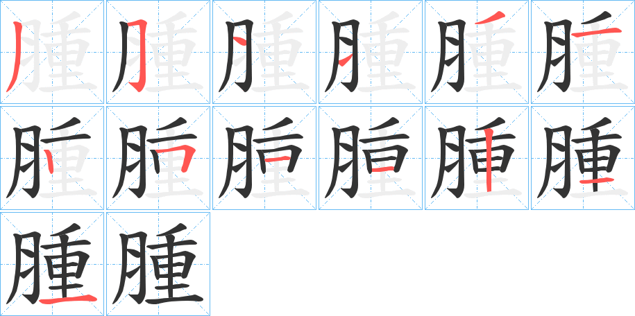 腫字的筆順?lè)植窖菔?></p>
<h2>腫的釋義：</h2>
腫<br />zhǒng<br />見(jiàn)“腫”。<br />筆畫(huà)數(shù)：13；<br />部首：月；<br />筆順編號(hào)：3511312511211<br />
<p>上一個(gè)：<a href='bs13162.html'>腦的筆順</a></p>
<p>下一個(gè)：<a href='bs13160.html'>腸的筆順</a></p>
<h3>相關(guān)筆畫(huà)筆順</h3>
<p class=