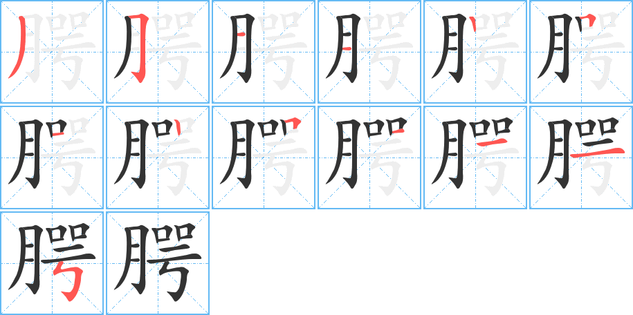 腭字的筆順分步演示