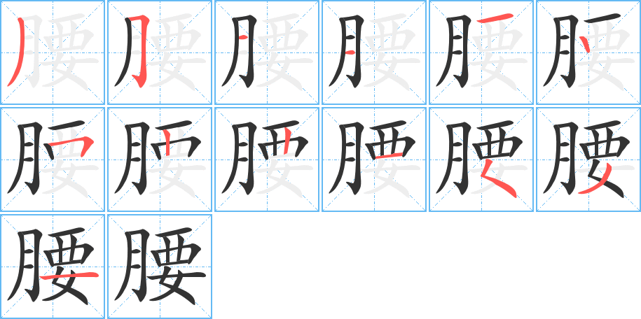 腰字的筆順分步演示