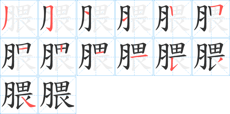 腲字的筆順分步演示