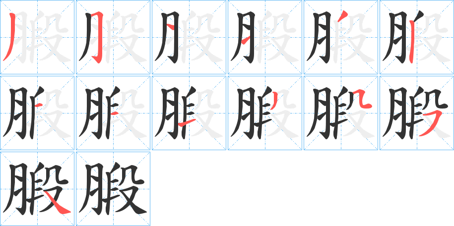 腶字的筆順分步演示