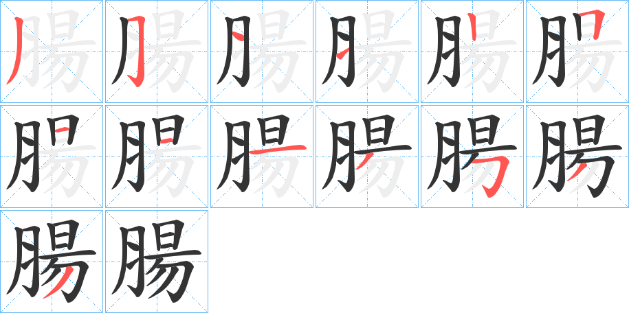 腸字的筆順分步演示