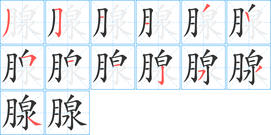 腺字的筆順分步演示