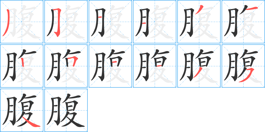 腹字的筆順分步演示