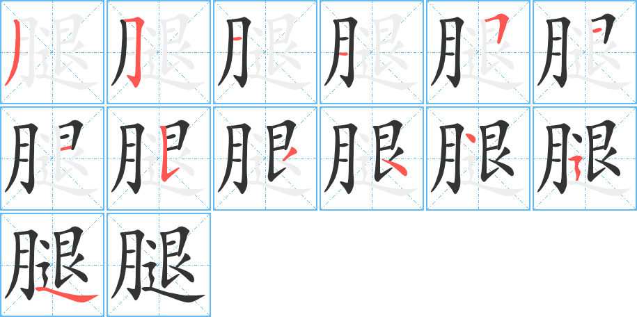 腿字的筆順?lè)植窖菔?></p>
<h2>腿的釋義：</h2>
腿<br />tuǐ<br />下肢，在腳的上面，在膝上胯下的稱“大腿”，在膝下腳上的稱“小腿”。腿腳。<br />器物上像腿的部分：桌子腿兒。<br />特指經(jīng)鹽腌、洗曬、晾掛等工序加工成的豬后腿：火腿。云腿。<br />筆畫(huà)數(shù)：13；<br />部首：月；<br />筆順編號(hào)：3511511534454<br />
<p>上一個(gè)：<a href='bs13153.html'>膃的筆順</a></p>
<p>下一個(gè)：<a href='bs13151.html'>腯的筆順</a></p>
<h3>相關(guān)筆畫(huà)筆順</h3>
<p class=