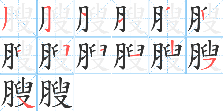 膄字的筆順分步演示