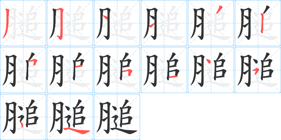 膇字的筆順分步演示