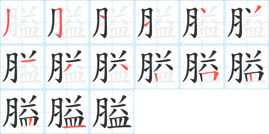 膉字的筆順分步演示