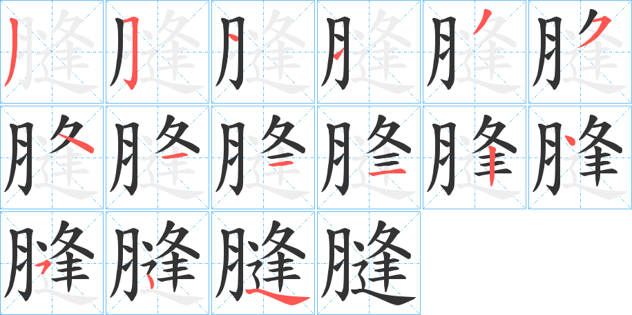 膖字的筆順分步演示