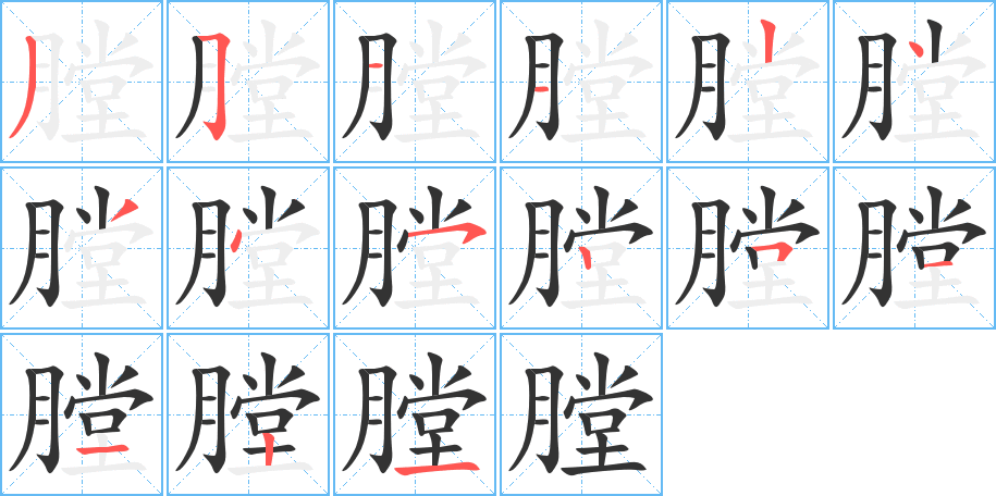 膛字的筆順分步演示