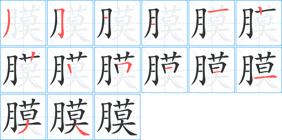 膜字的筆順分步演示