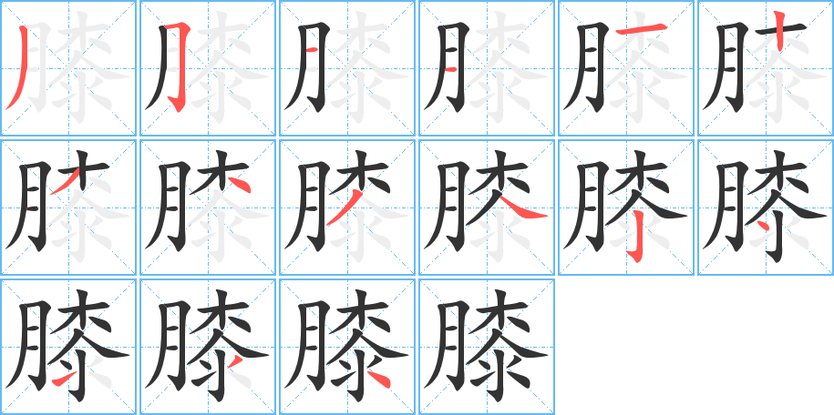 膝字的筆順分步演示