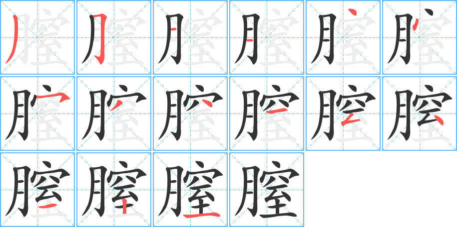 膣字的筆順分步演示