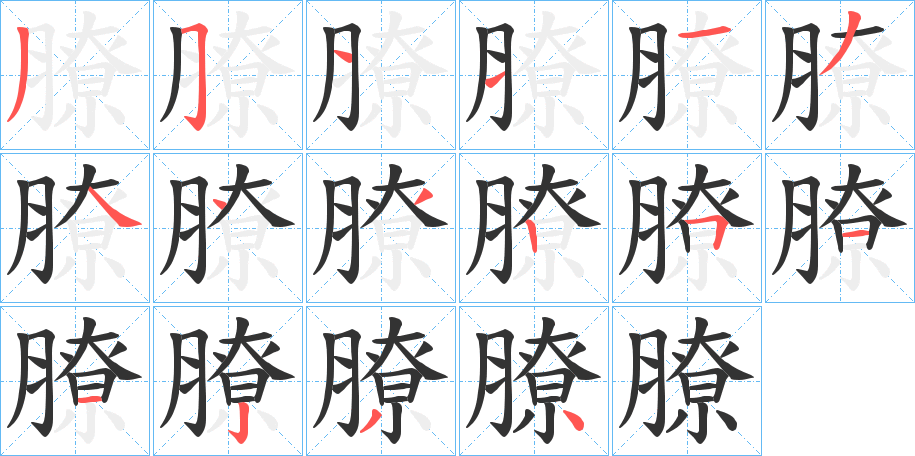 膫字的筆順分步演示