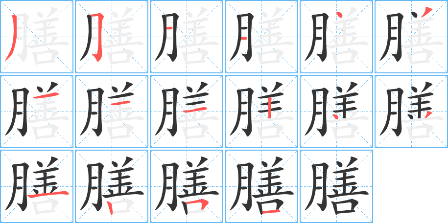 膳字的筆順分步演示