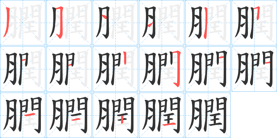 膶字的筆順分步演示