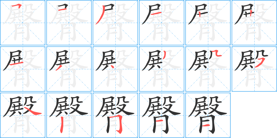 臀字的筆順分步演示