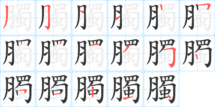 臅字的筆順分步演示