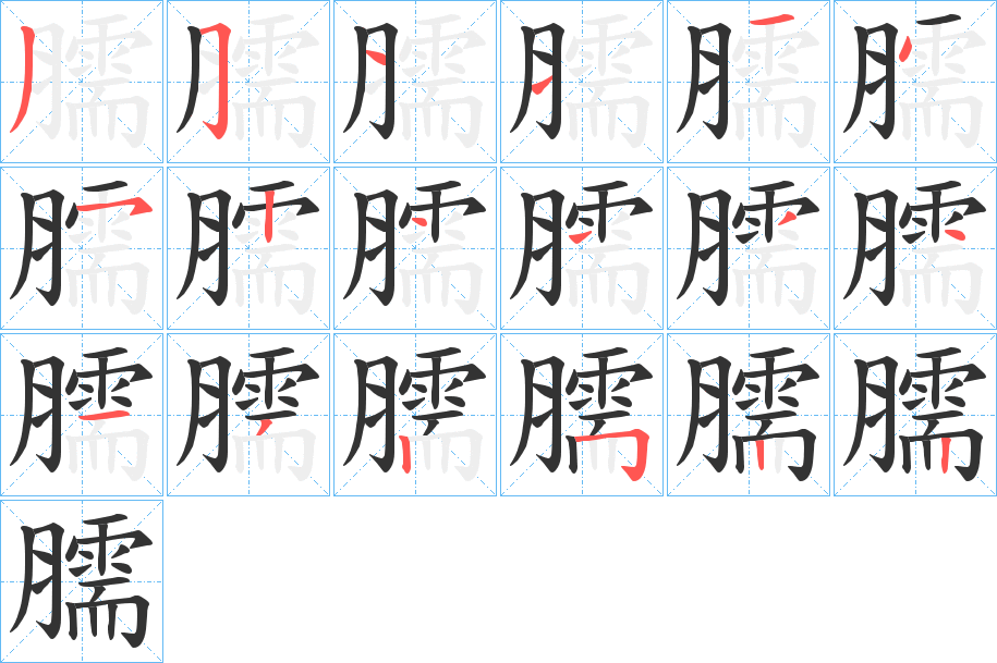 臑字的筆順分步演示