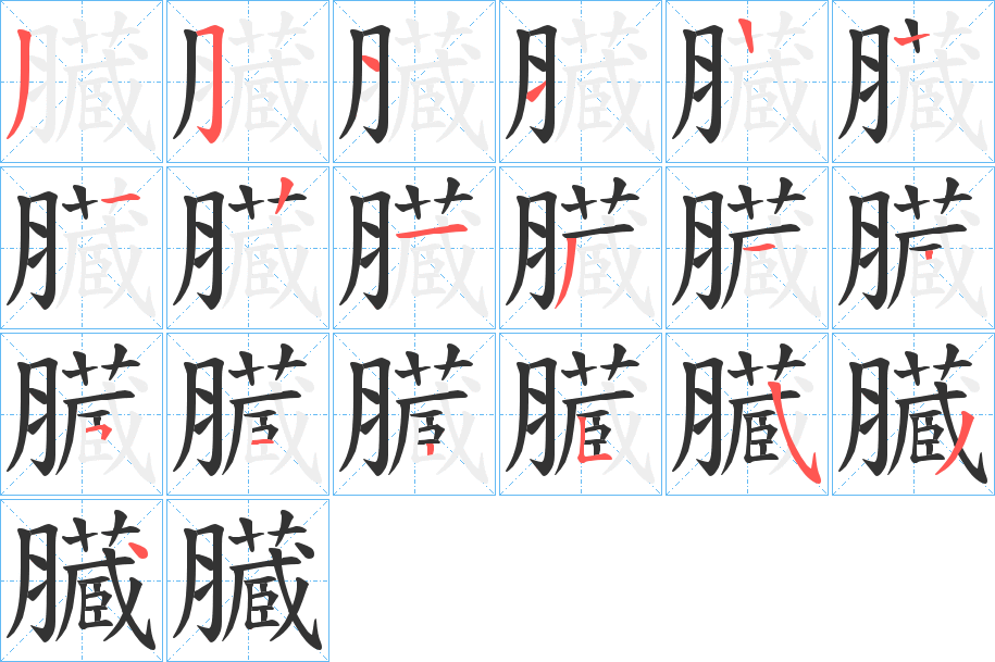 臓字的筆順分步演示