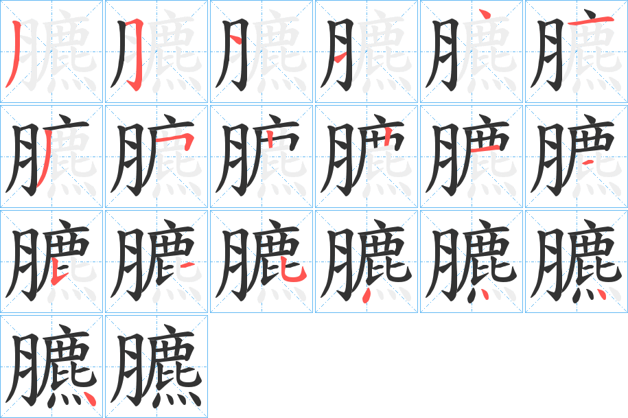 臕字的筆順分步演示