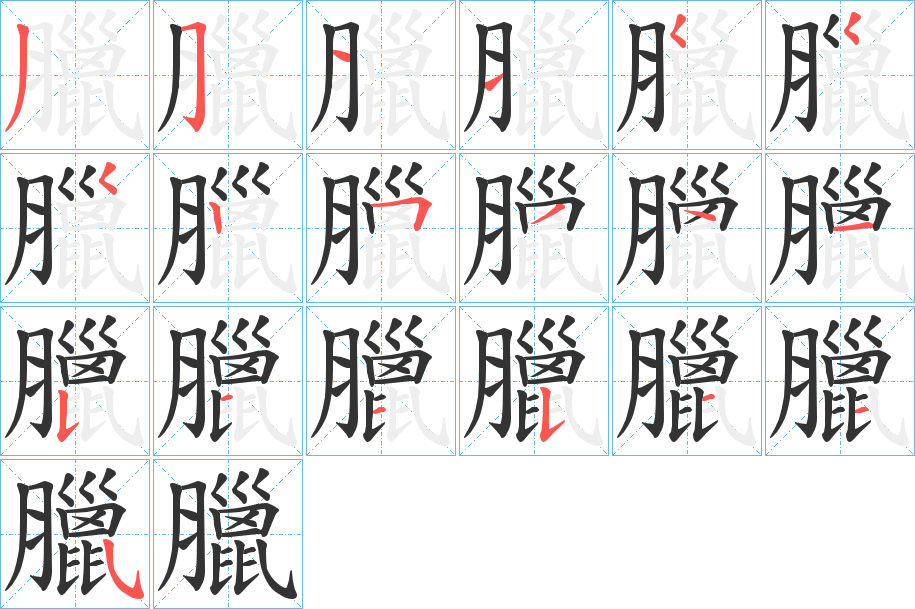 臘字的筆順分步演示