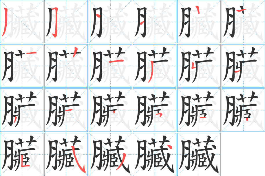 臟字的筆順分步演示