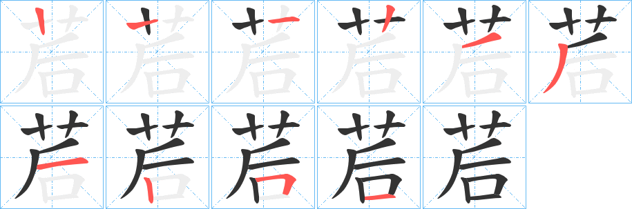 茩字的筆順分步演示