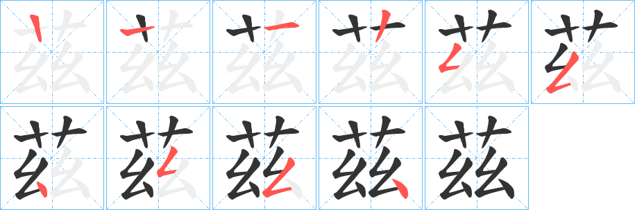 茲字的筆順分步演示