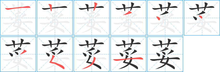 荽字的筆順分步演示