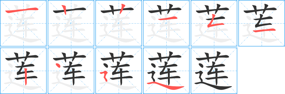 蓮字的筆順分步演示