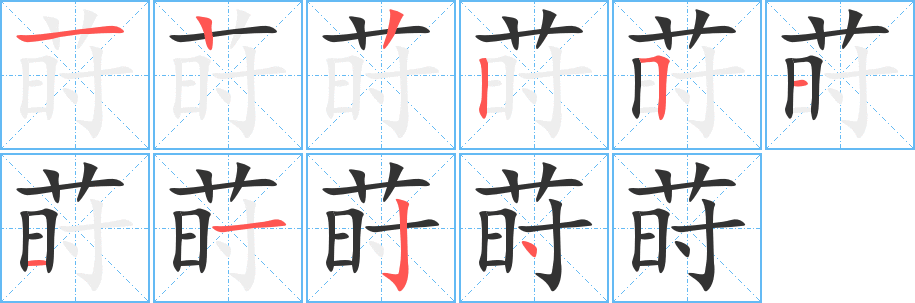 蒔字的筆順分步演示