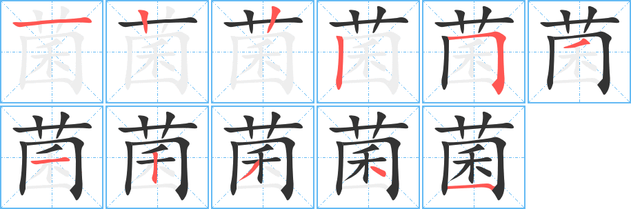 菌字的筆順分步演示